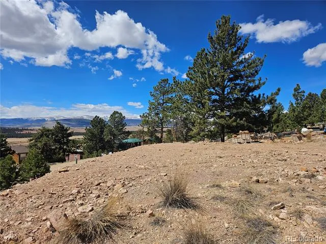 636 Bonell Drive Fairplay, CO 80440