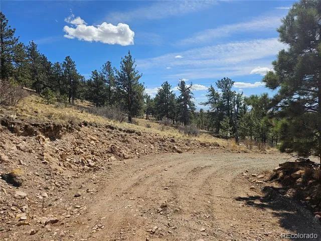 636 Bonell Drive Fairplay, CO 80440