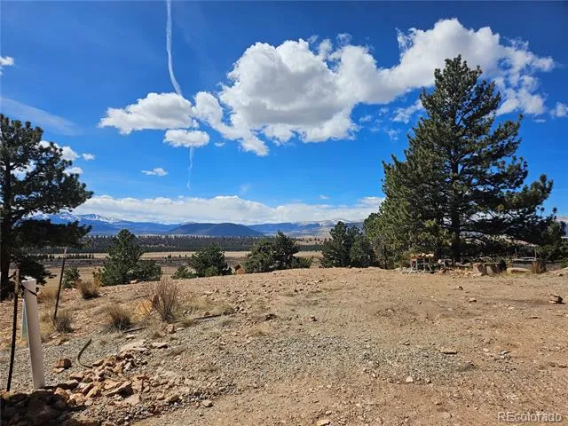 636 Bonell Drive Fairplay, CO 80440