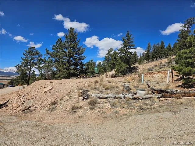636 Bonell Drive Fairplay, CO 80440