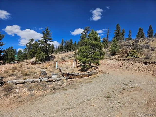 636 Bonell Drive Fairplay, CO 80440