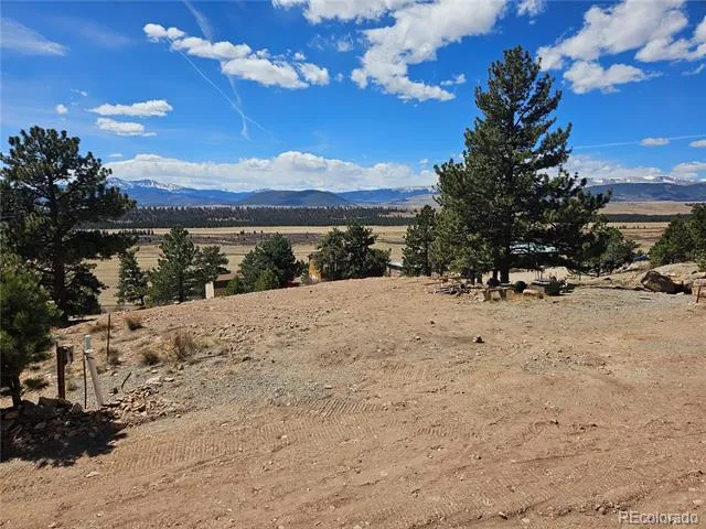636 Bonell Drive Fairplay, CO 80440