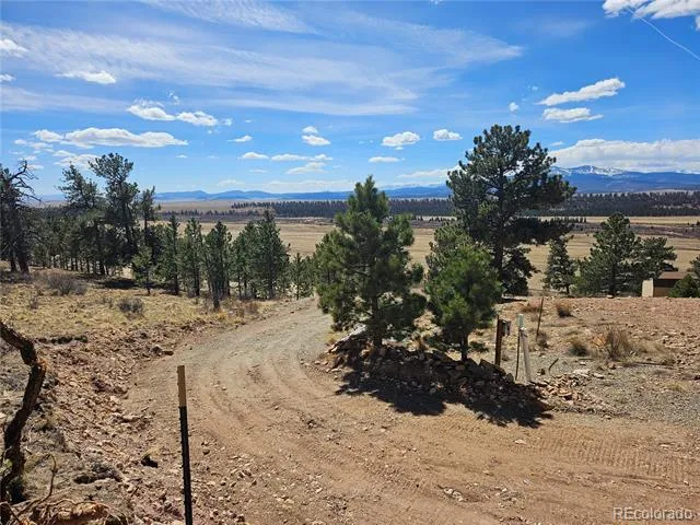 636 Bonell Drive Fairplay, CO 80440