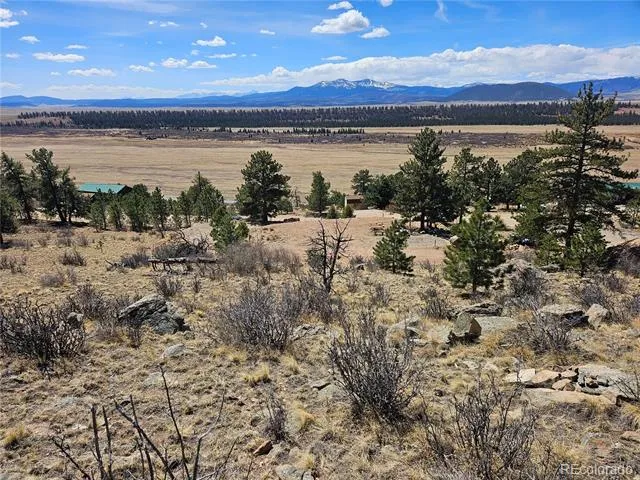 636 Bonell Drive Fairplay, CO 80440
