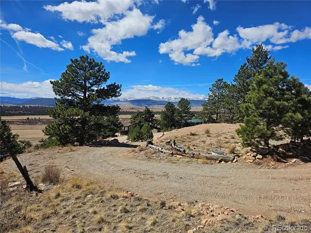 636 Bonell Drive Fairplay, CO 80440