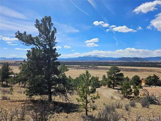 636 Bonell Drive Fairplay, CO 80440