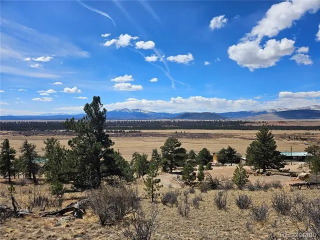 636 Bonell Drive Fairplay, CO 80440