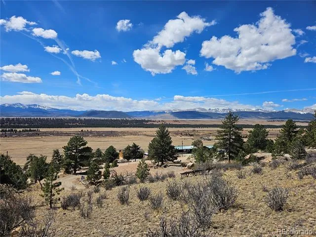 636 Bonell Drive Fairplay, CO 80440