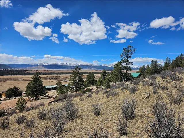636 Bonell Drive Fairplay, CO 80440