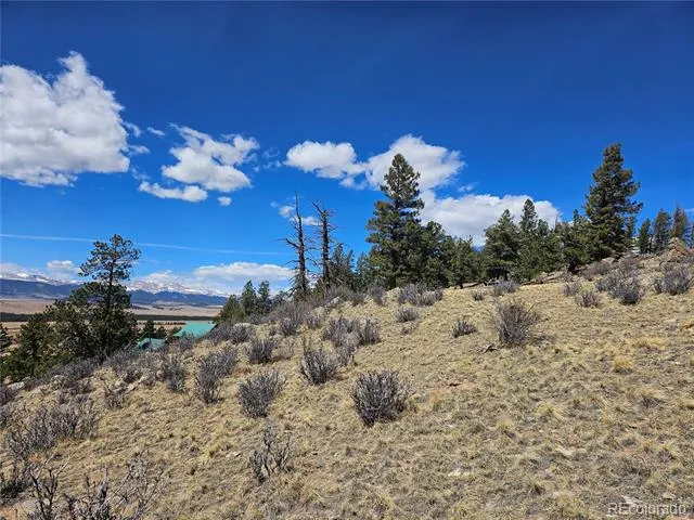 636 Bonell Drive Fairplay, CO 80440