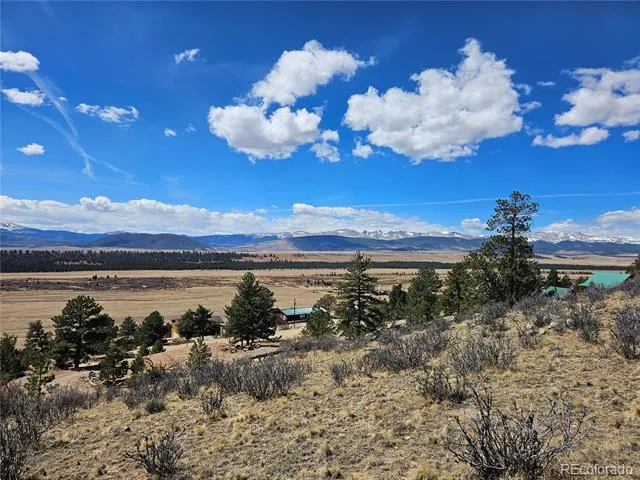 636 Bonell Drive Fairplay, CO 80440