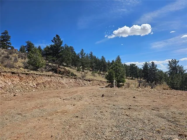 636 Bonell Drive Fairplay, CO 80440