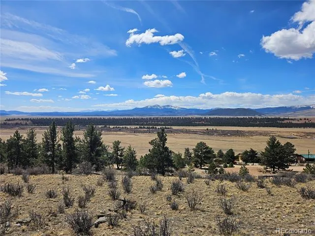 636 Bonell Drive Fairplay, CO 80440