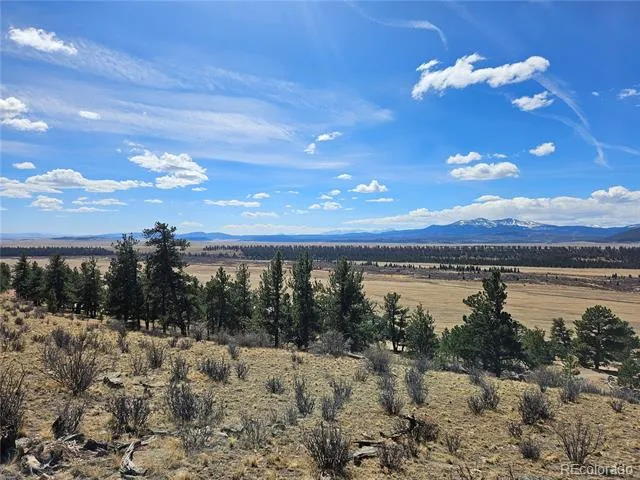 636 Bonell Drive Fairplay, CO 80440