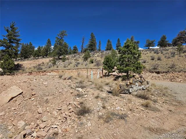 636 Bonell Drive Fairplay, CO 80440