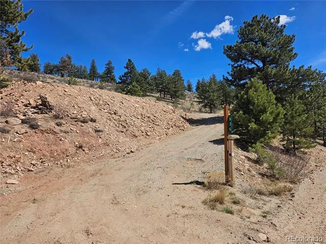 636 Bonell Drive Fairplay, CO 80440