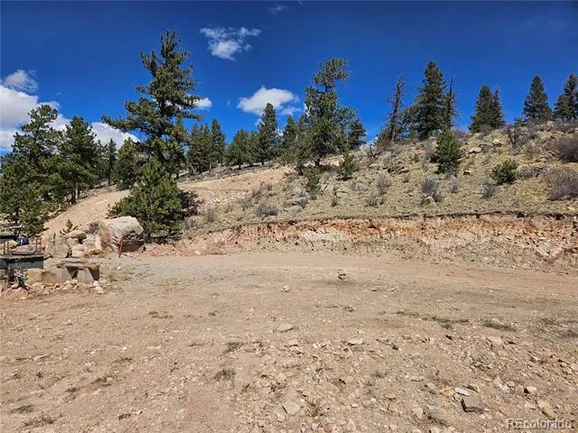 636 Bonell Drive Fairplay, CO 80440