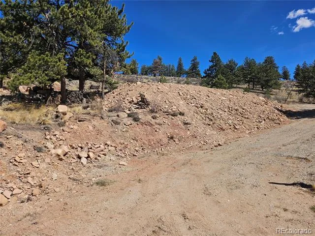 636 Bonell Drive Fairplay, CO 80440