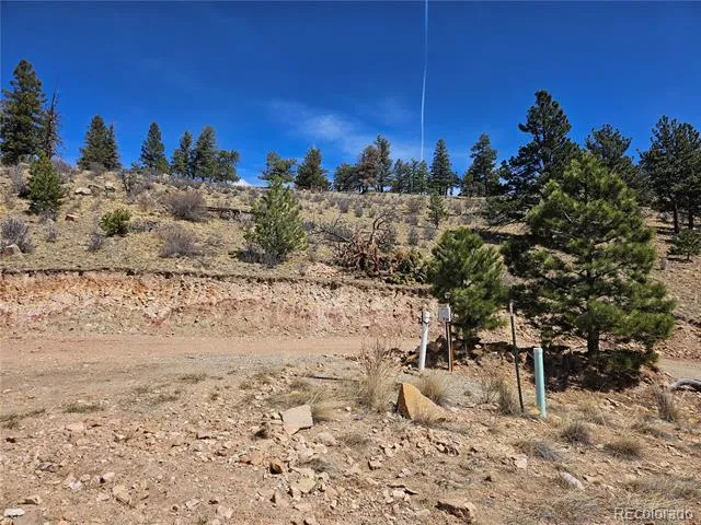 636 Bonell Drive Fairplay, CO 80440