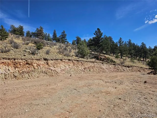 636 Bonell Drive Fairplay, CO 80440