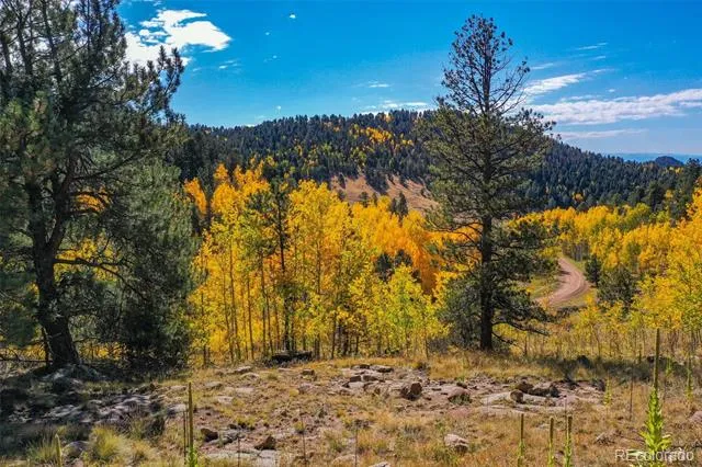 230 Penrose Circle Cripple Creek, CO 80813