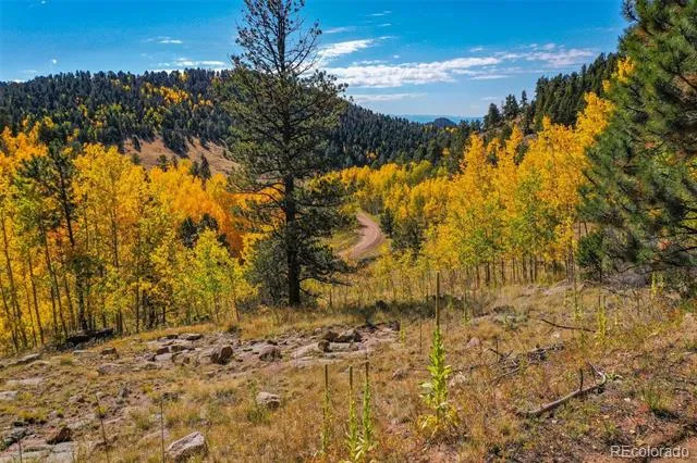 230 Penrose Circle Cripple Creek, CO 80813