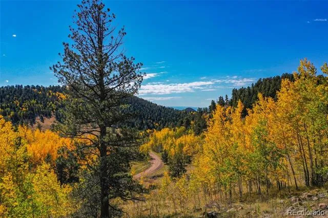 230 Penrose Circle Cripple Creek, CO 80813
