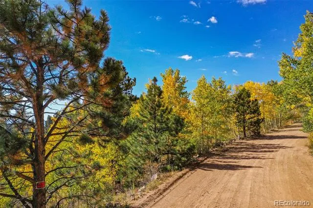 230 Penrose Circle Cripple Creek, CO 80813