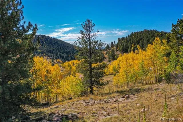 230 Penrose Circle Cripple Creek, CO 80813