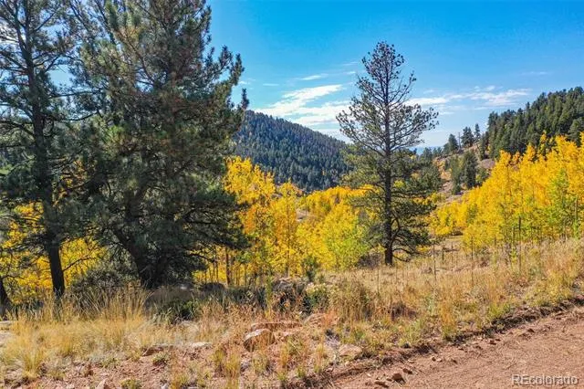 230 Penrose Circle Cripple Creek, CO 80813