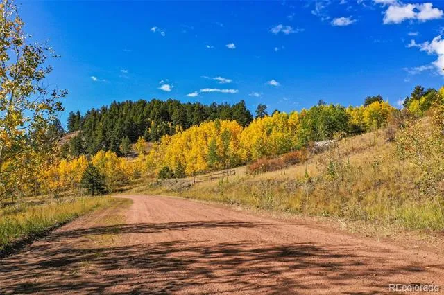 230 Penrose Circle Cripple Creek, CO 80813