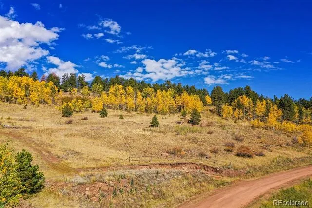 230 Penrose Circle Cripple Creek, CO 80813
