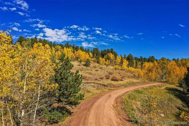 230 Penrose Circle Cripple Creek, CO 80813