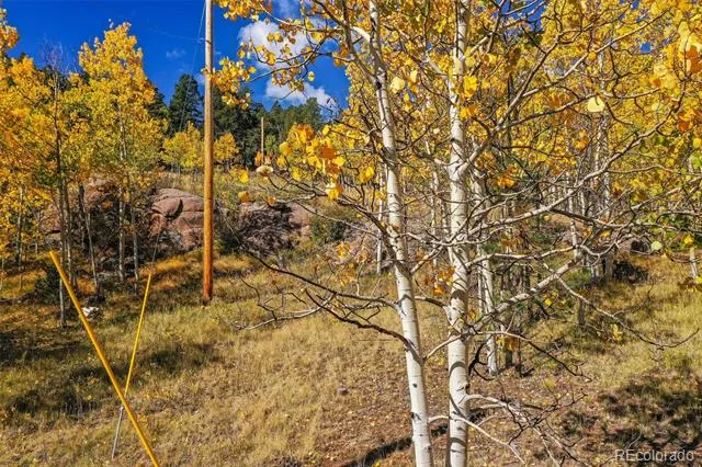 230 Penrose Circle Cripple Creek, CO 80813