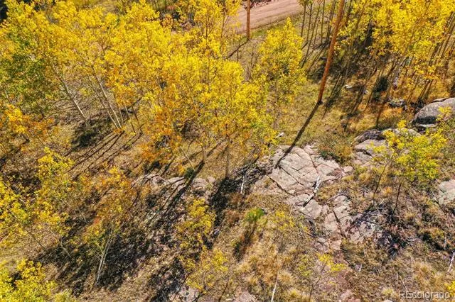 230 Penrose Circle Cripple Creek, CO 80813