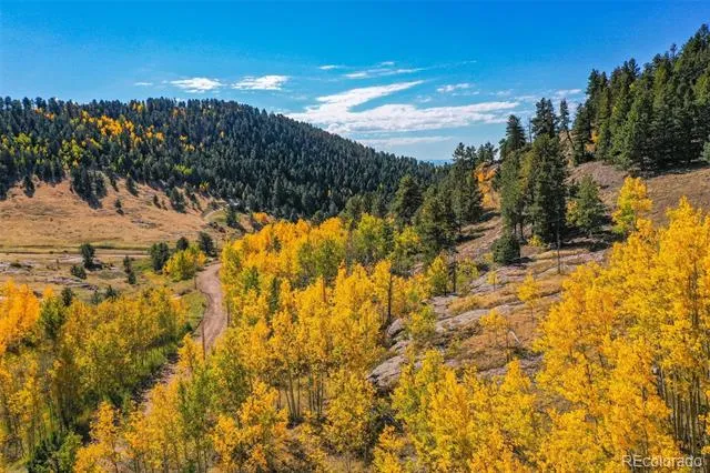 230 Penrose Circle Cripple Creek, CO 80813