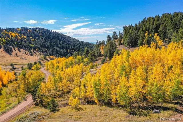 230 Penrose Circle Cripple Creek, CO 80813