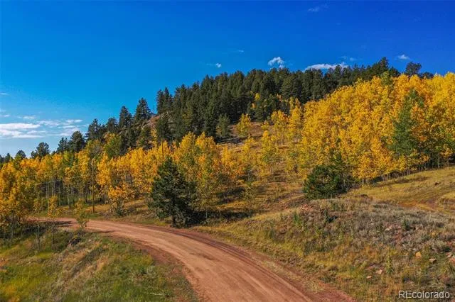 230 Penrose Circle Cripple Creek, CO 80813