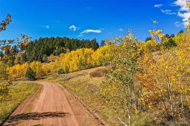 230 Penrose Circle Cripple Creek, CO 80813