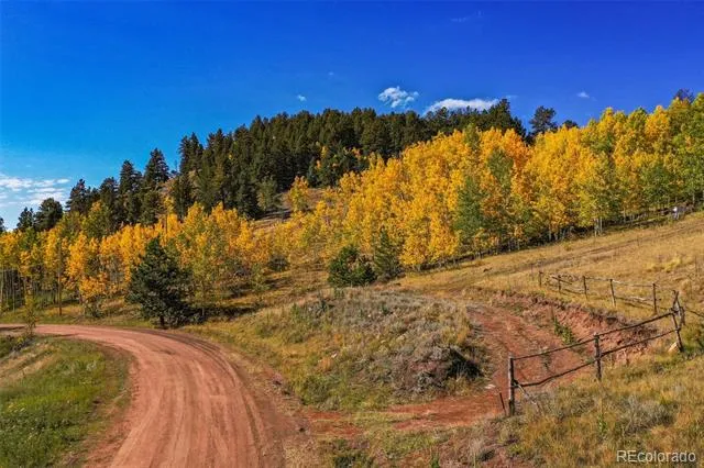 230 Penrose Circle Cripple Creek, CO 80813