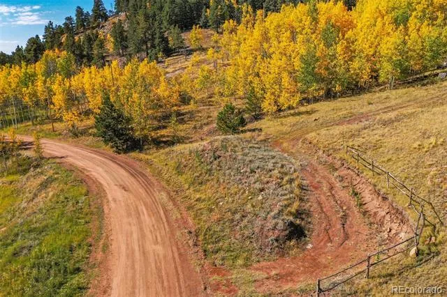 230 Penrose Circle Cripple Creek, CO 80813