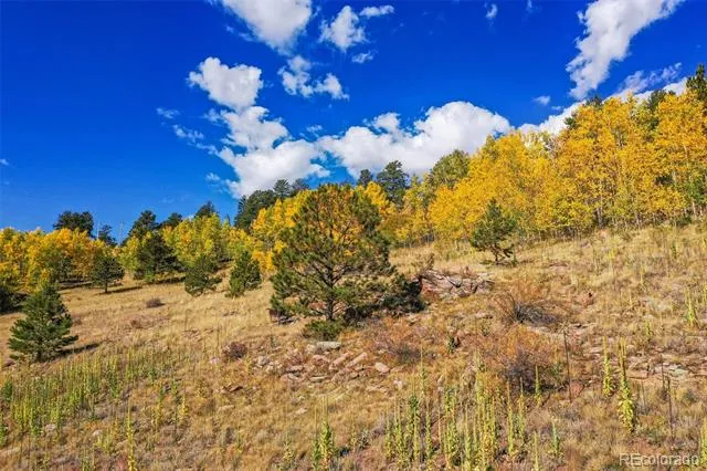 230 Penrose Circle Cripple Creek, CO 80813
