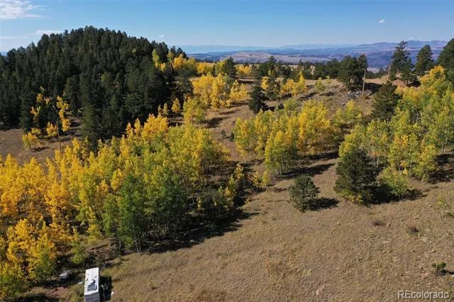 230 Penrose Circle Cripple Creek, CO 80813