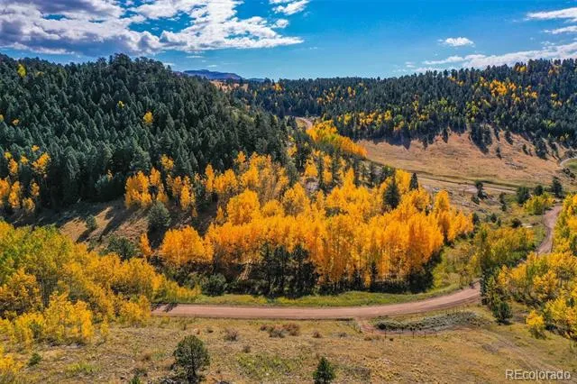 230 Penrose Circle Cripple Creek, CO 80813