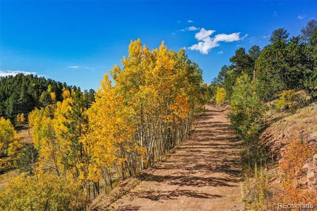 230 Penrose Circle Cripple Creek, CO 80813