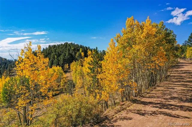 230 Penrose Circle Cripple Creek, CO 80813