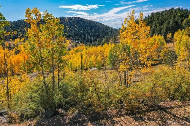 230 Penrose Circle Cripple Creek, CO 80813