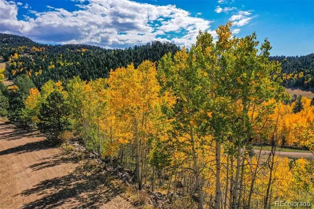 230 Penrose Circle Cripple Creek, CO 80813