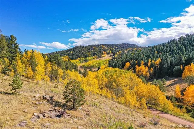 230 Penrose Circle Cripple Creek, CO 80813