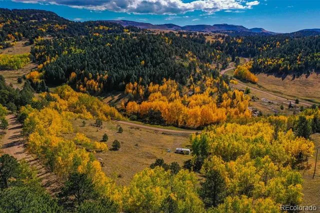 230 Penrose Circle Cripple Creek, CO 80813